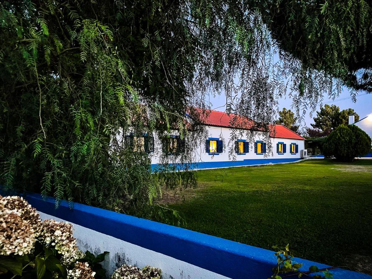 Quinta Do Cutato - Beatriz Guest House - Sotao Santo Estevao  外观 照片