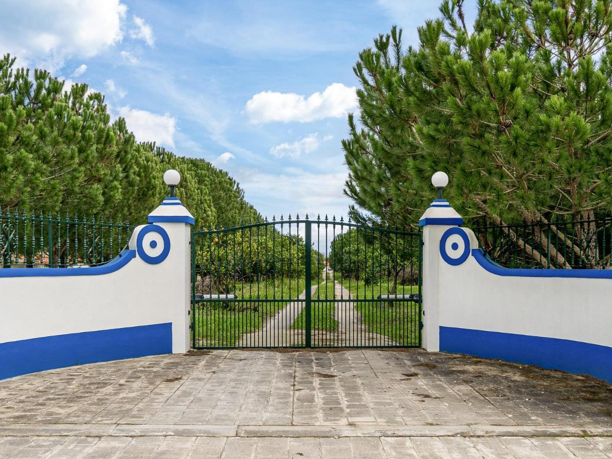 Quinta Do Cutato - Beatriz Guest House - Sotao Santo Estevao  外观 照片